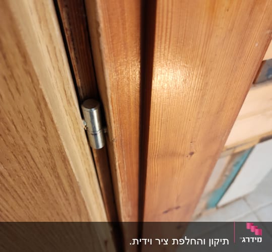 ציר